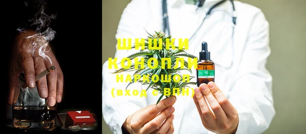 крисы Осинники