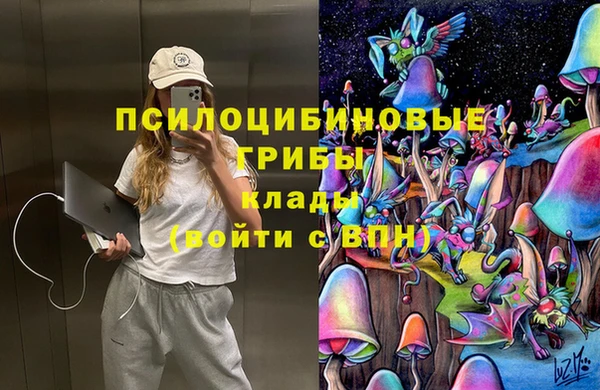бутират Алексеевка