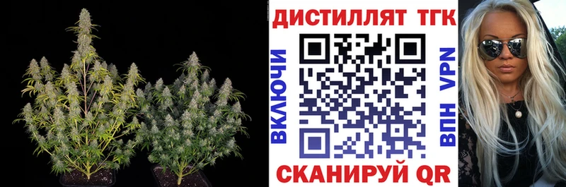 где купить   Челябинск  Дистиллят ТГК жижа 