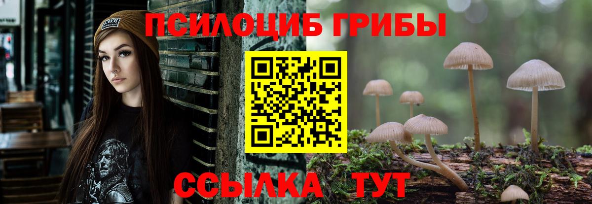 Псилоцибиновые грибы прущие грибы  Вход с VPN  Челябинск 