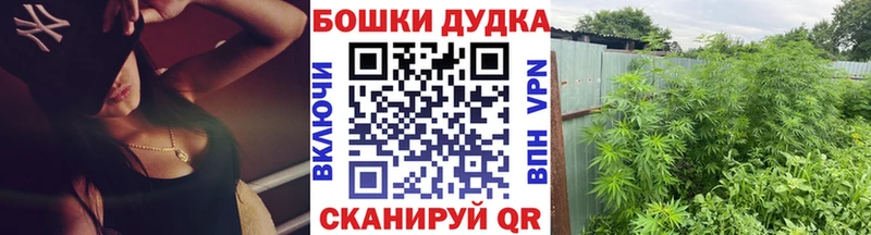 Шишки марихуана марихуана  как найти   Челябинск 